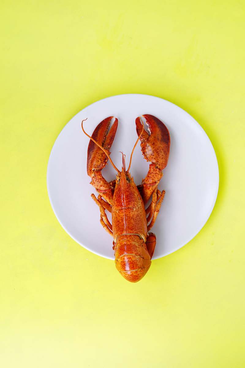 sea life lobster on white saucer seafood